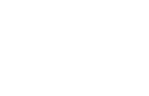 Max Eng. Inspeções - logo branca